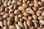 Huile argan 100% pure et naturelle - 50ml - Photo 2