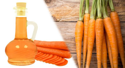 Huile de carotte en gros