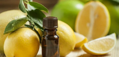 Huile essentielle de citron en gros - Photo 2