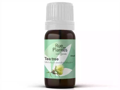 Huile essentielle de tea tree bio 10ml