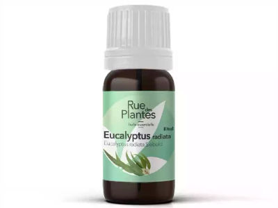 Huile essentielle Eucalyptus radiata bio 10ml