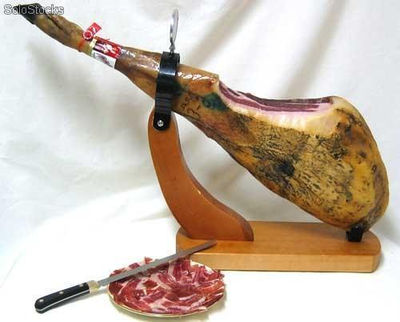 Iberian ham Bellota from Spain