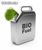 impianto -macchina -reattore per la raffinazione biodiesel