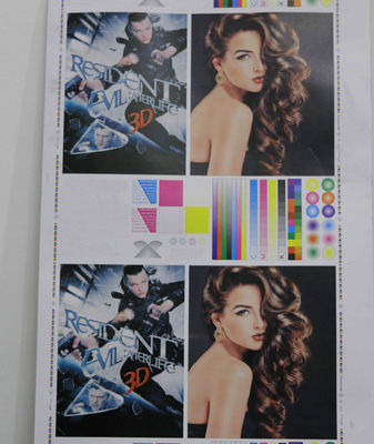 Impresora Flexográfica de Alta Velocidad de Cuatro Colores - Foto 4