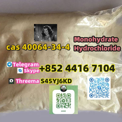 In Stock	CAS 40064-34-14 Monohydrate Hydrochloride - Photo 2