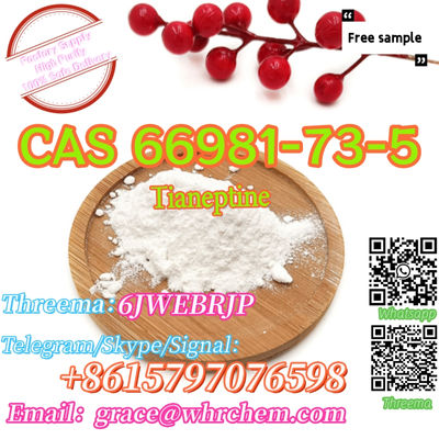 In stock CAS 66981-73-5 Tianeptine Factory Supply High Purity - Photo 5