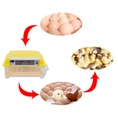 Incubadora automática para 48 ovos de galinha - Foto 3