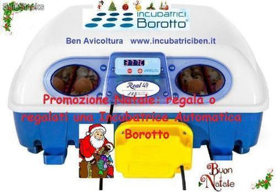 Incubatrici Borotto Serie Real 12 - 24 - 49 - Foto 4