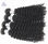 &amp;quot;Indian Curly Hair 4pcs unprocessed Indian Virgin Hair Deep Curly Wave Cheap Kin - Photo 2
