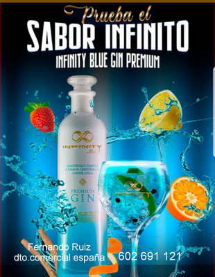 Infinity blue gin premium - Foto 2