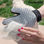 InnovaGoods Bürsthandschuh für Haustiere - Foto 4