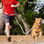 InnovaGoods Joggingleine für Hunde - 1
