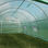 Invernadero Politúnel Galvanizado 25mm 6 x 3m al Aire Libre - Foto 5