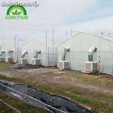 invernaderos del techo ventanas (CMB3810)