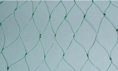 Invisible Green HDPE Anti Bird Net 49x30cm Bird Net humane live trap effective - Foto 4