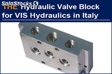 Italian customer purchased matched hydraulic cartridge valve in AAK