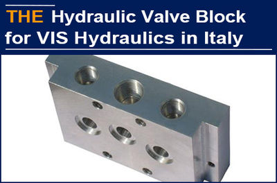 Italian customer purchased matched hydraulic cartridge valve in AAK