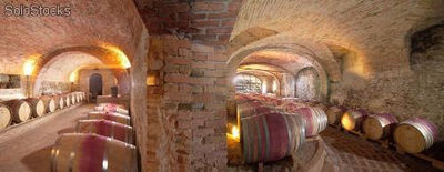 Italienische ipg Wein doc - Foto 2