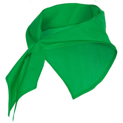 Jaranero scarf s/one size irish green ROPN90069024