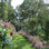 Jardin et pepinier - Photo 2