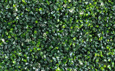 Jardin Vertical Mats - Boxwood Light Green with Flower - Foto 2