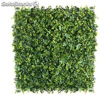 Jardín Vertical Quality - Lavandula Ivy