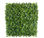 Jardín Vertical Quality - Lavandula Ivy - 1