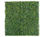 Jardines Verticales Mats - Boxwood Light Green - 1
