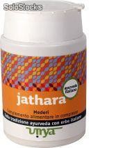 Jathara - Coadiuvante della naturale funzione epatico-pancreatica e digestiva.
