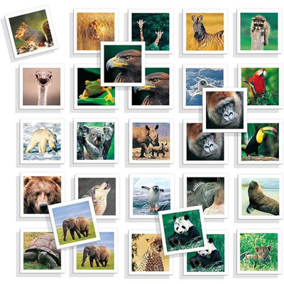 Juego Educativo Memo Photo Animals - Foto 4