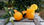 Jus Oranges moyen 17 kg - Photo 2