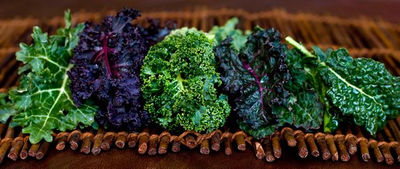 Kale o col rizada fresca 4 variedades