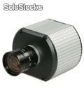 Kamera (Netzwerkkamera) Arecont Vision AV1300M