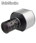 Kamera (Netzwerkkamera) Arecont Vision AV3100M
