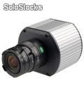 Kamera (Netzwerkkamera) Arecont Vision AV5100M