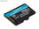 Kingston Canvas Go! Plus MicroSDXC 256GB uhs-i SDCG3/256GBSP - 2
