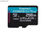 Kingston Canvas Go! Plus MicroSDXC 256GB uhs-i SDCG3/256GBSP - 1