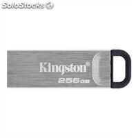 Kingston DataTraveler dtkn 256GB usb 3.2 Gen1 Plat