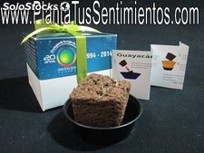 Kit bonsai en caja de regalo promocional publicidad