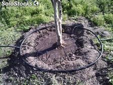 Kit irrigation pour arbre nécessitant 60/65 litre par heure