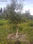 Kit irrigation pour arbre nécessitant 60/65 litre par heure - Photo 2