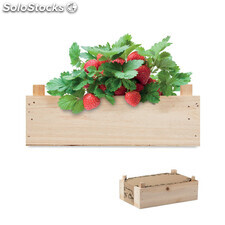 Kit per coltivare fragole legno MIMO6506-40