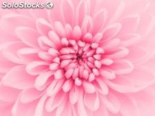 koc 3d motyw kwiatowy kolor różowy 130x160