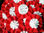 Kokarda, rozeta narodowa biało czerwona w barwach narodowych - 1