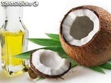 Kokosnussöl im Großhandel