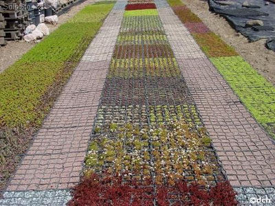 kratki trawnikowe, zielony parking - ekologiczna alternatywa dla betonu