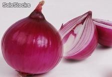 la cebolla(onion)