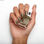 lakier do paznokci Essie Gel Couture 540-plaid (13,5 ml) - 3