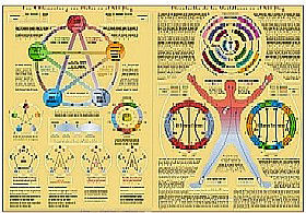 Lámina de los cinco elementos y sus ciclos: Circulación de los meridianos