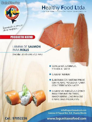 Laminas de salmon para roll